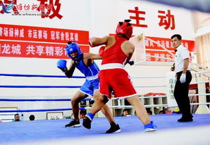 市運會拳擊比賽圓滿落幕，拳擊運動賽事組織與管理經驗總結