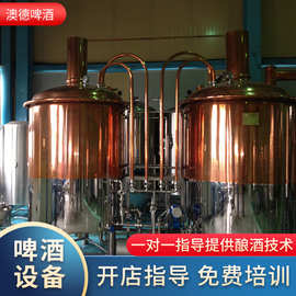 精釀啤酒設(shè)備投資指南 價格解析與一體機(jī)、分體機(jī)選擇策略